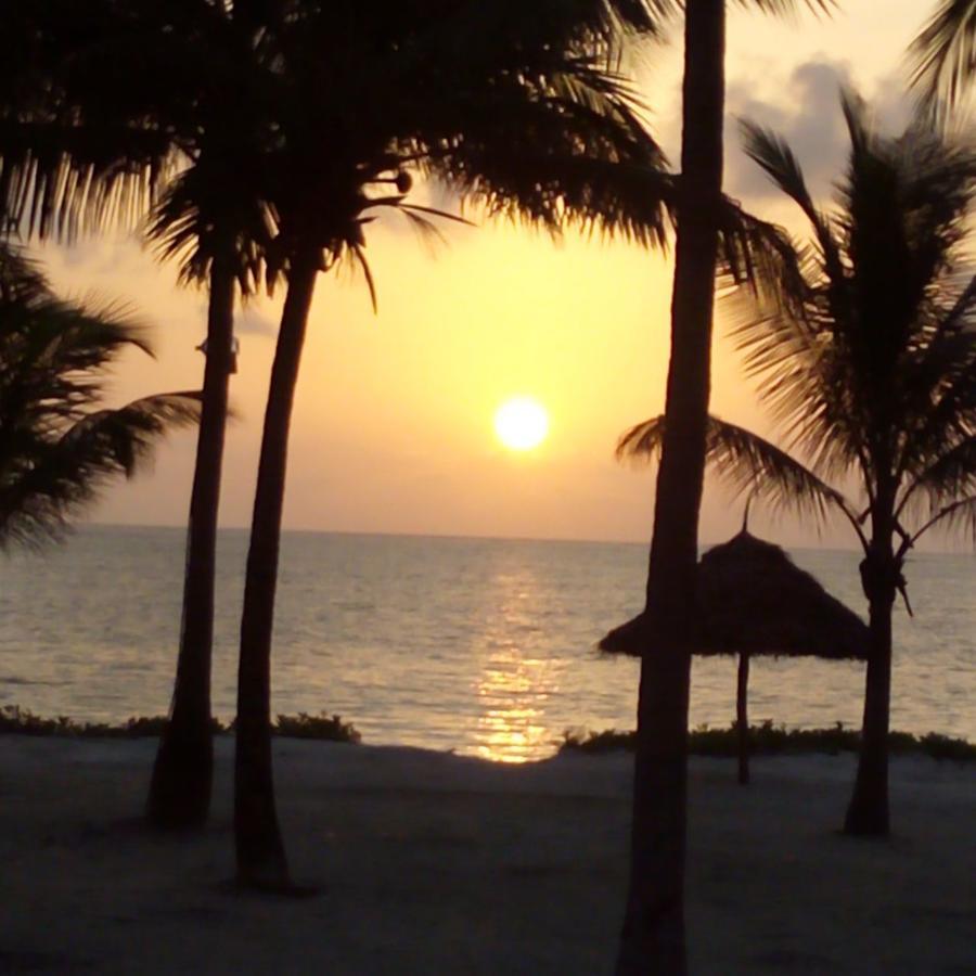 Bwejuu Beach Palm Villa Exteriör bild